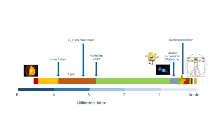 Zeitleiste Leben auf der Erde